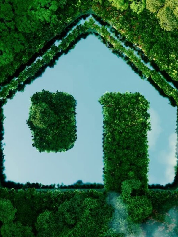 Sürdürülebilirliği Benimsemek: 2024 Yılı Çevreci Trendleri
